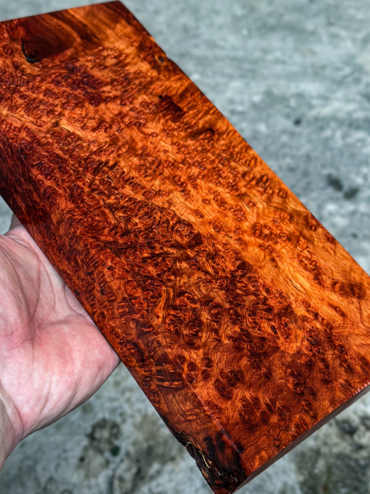 RARE!! Amboyna Burl ,Exotic Wood, Lumber, Knife Timber Handle Lumber #2895