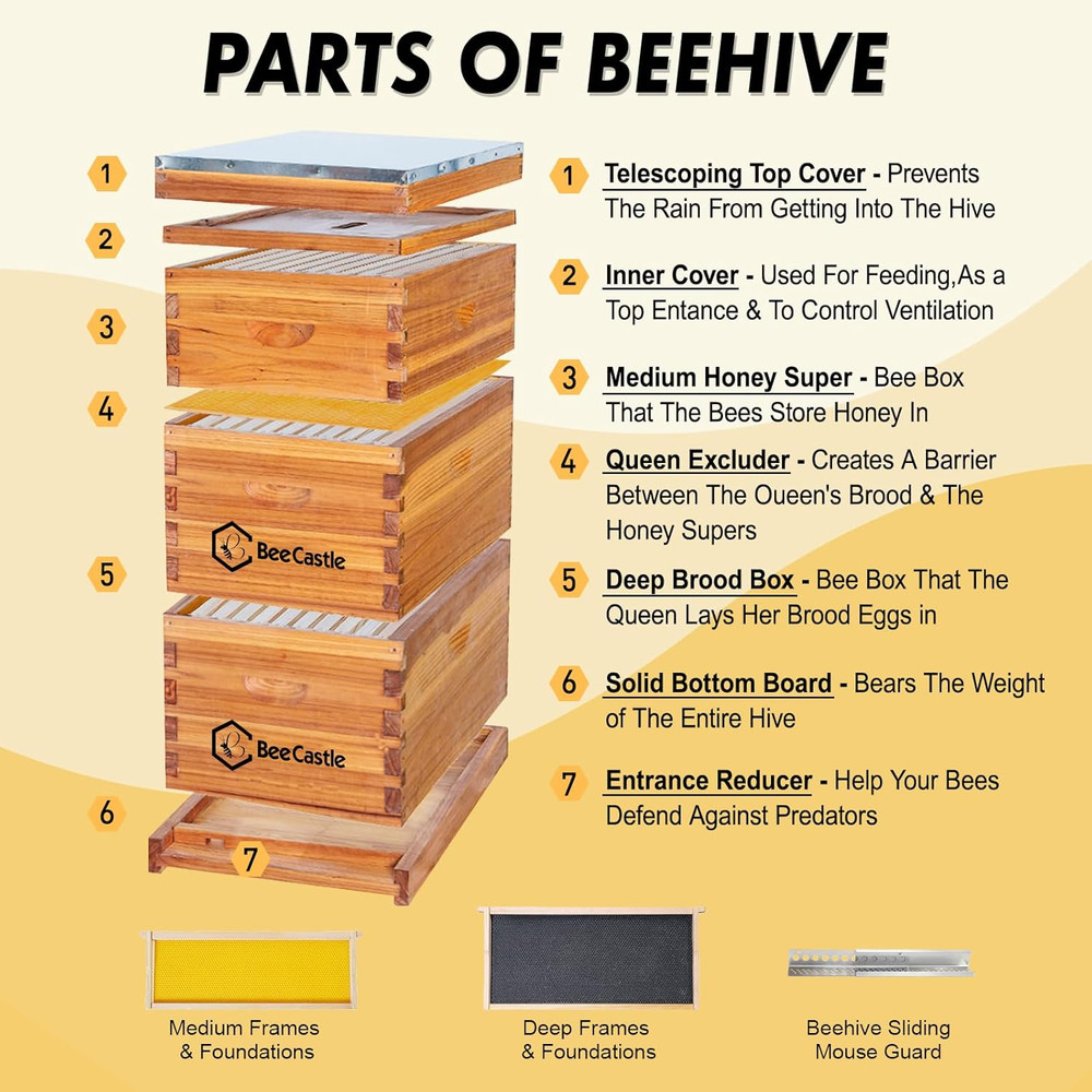 10 Frame Langstroth Bee Hive Coated with Beeswax Includes Beehive Frames and Wax