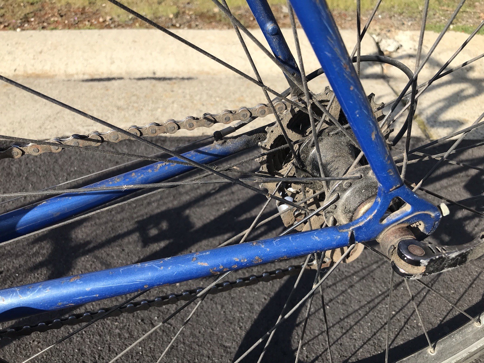 Vintage Specialized Allez SE Jim Merz Edition Lugged Steel Racing Bicycle Bike