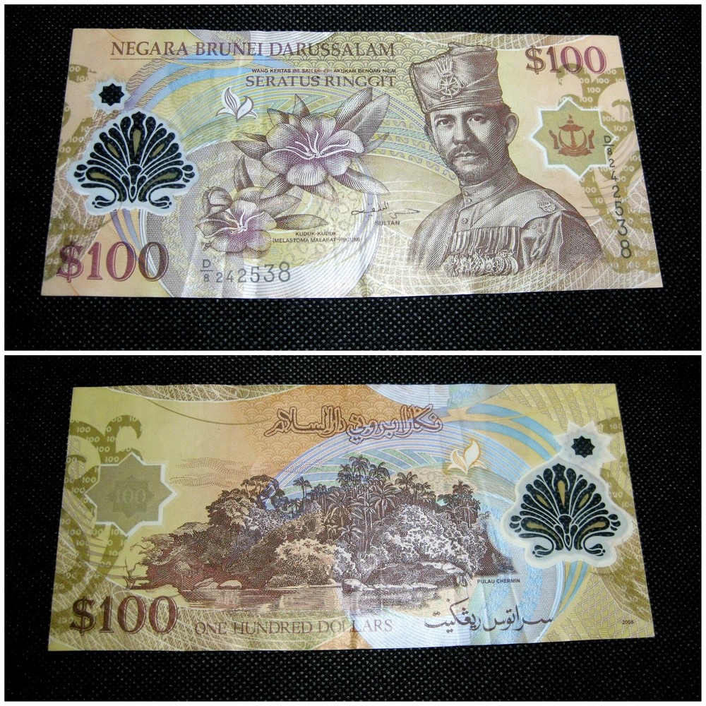 2004 Brunei $100 One Hundred Dollars Seratus Ringgit Currency Note D8 242538