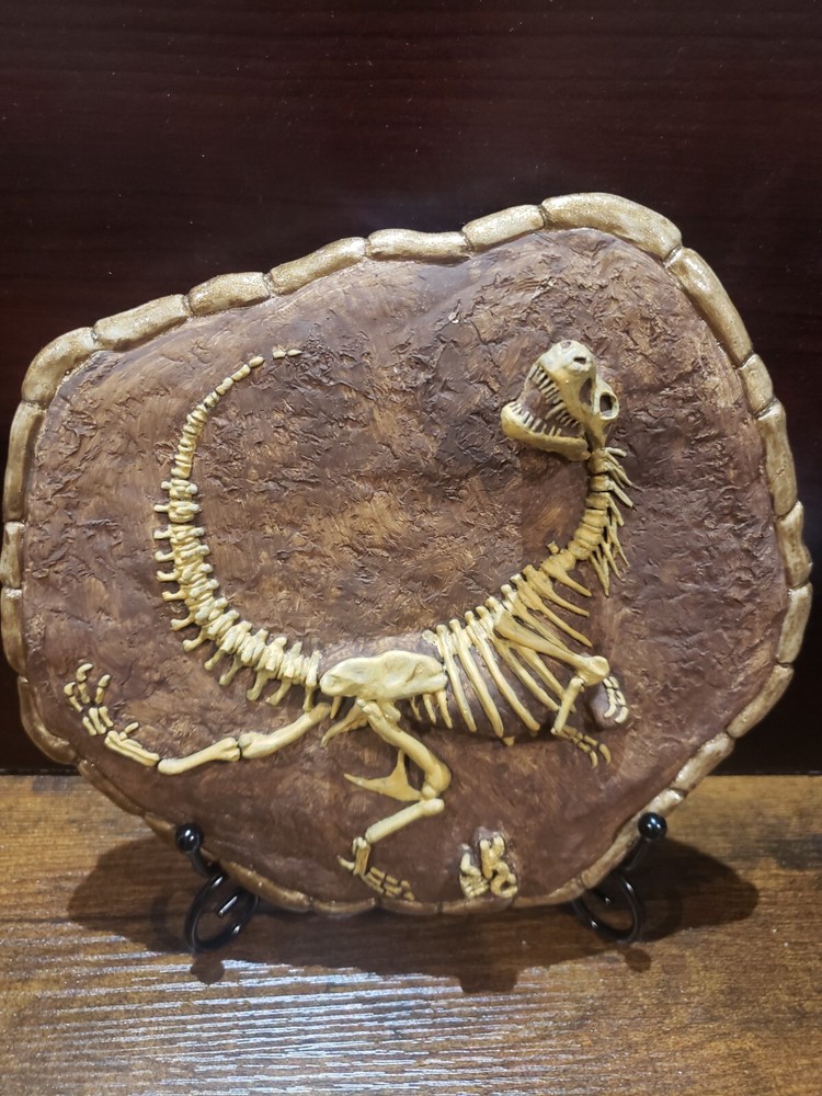 T-Rex Dinosaur fossil display