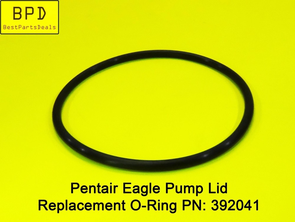 1x Pentair Eagle Pump Lid Replacement O-Ring PN: 392041