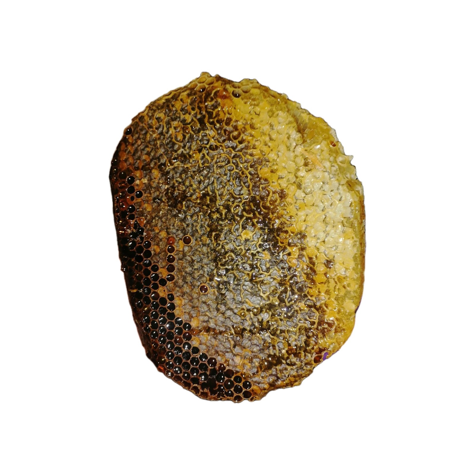 Moroccan natural bee honey