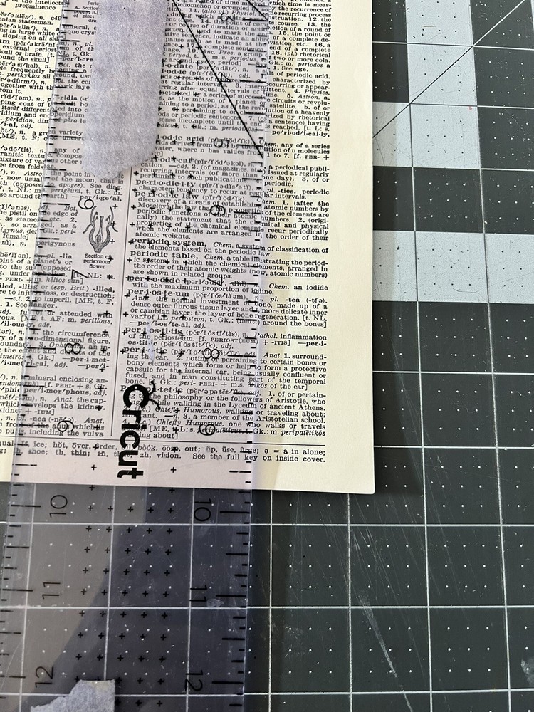 Salvaged Dictionary Pages