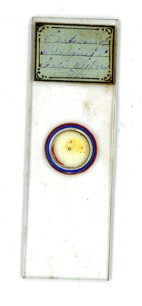 Antique glass Microscope slide unknown sample type see photos #8