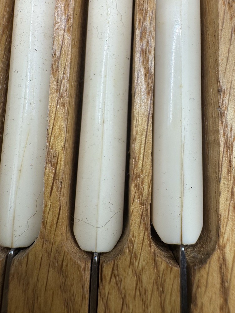 Bakelite Handle Knives And Electro Static Cleaner Bakelite Look