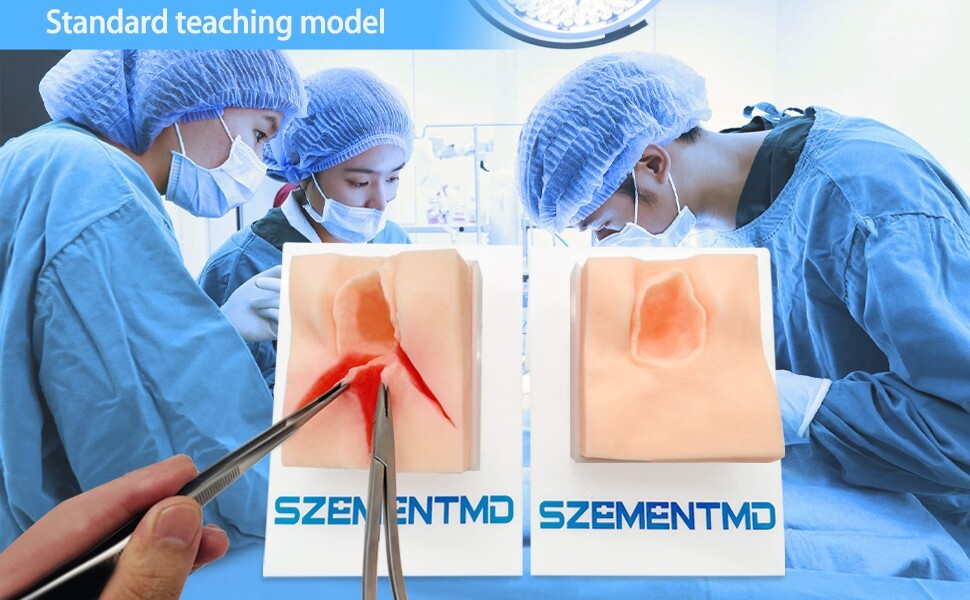 Perineal Three Incision Suturing Model, Perineal Repair Obstetric Practice Model
