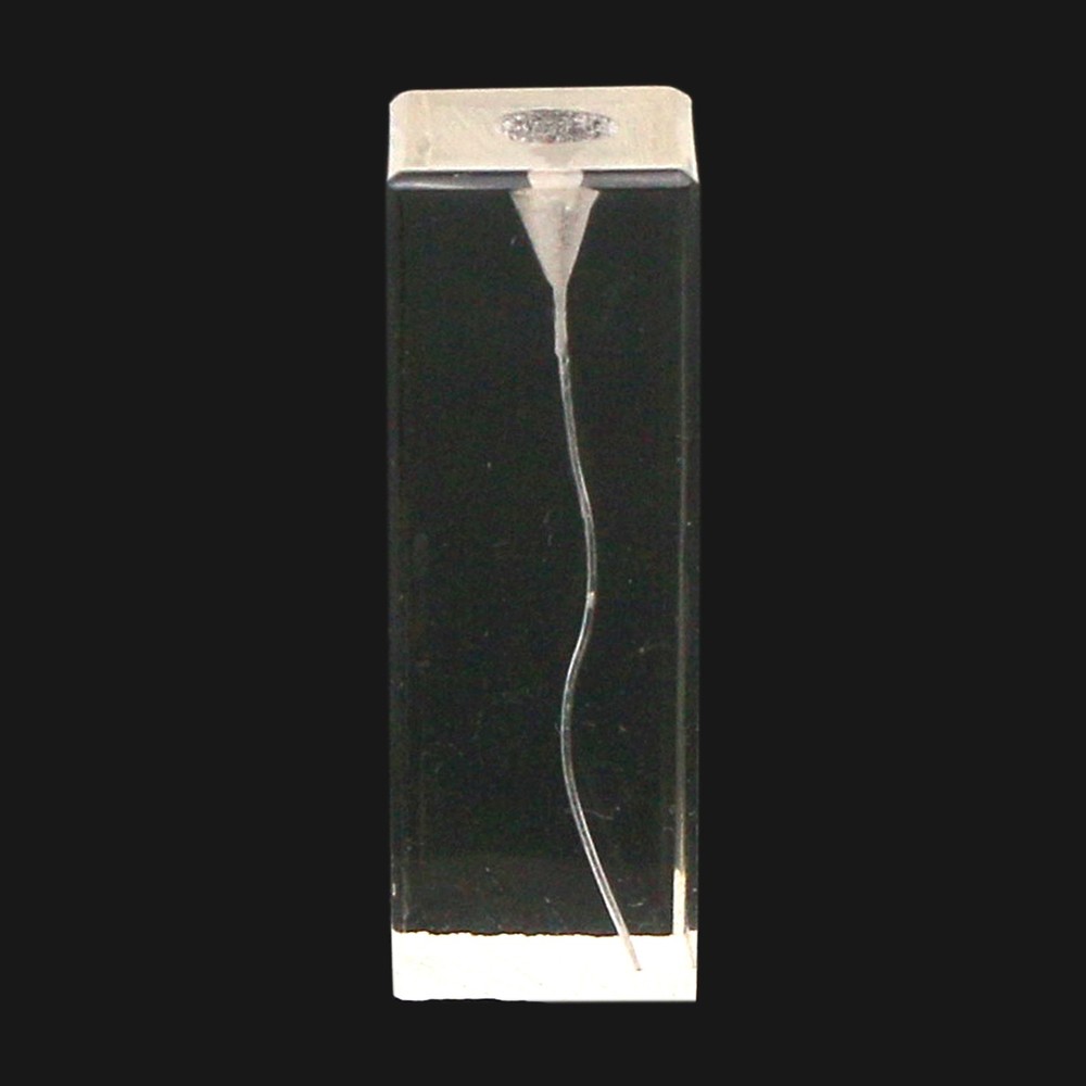 39 Sizes Dental Root Canal Teeth Study Model Practice Endo Rotary Files Study