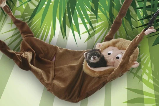Marshall Hanging Ferret Hammock, Monkey