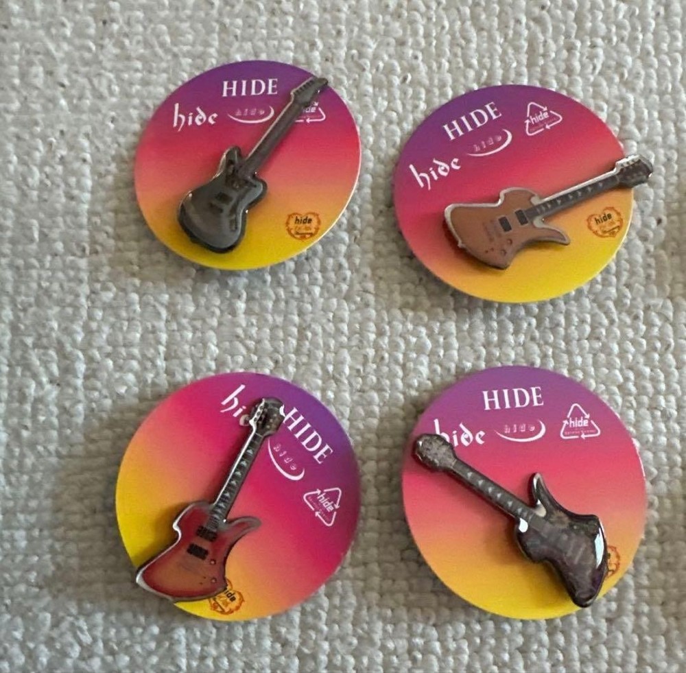 hide☆Pins capsule 10 piece set☆Complete