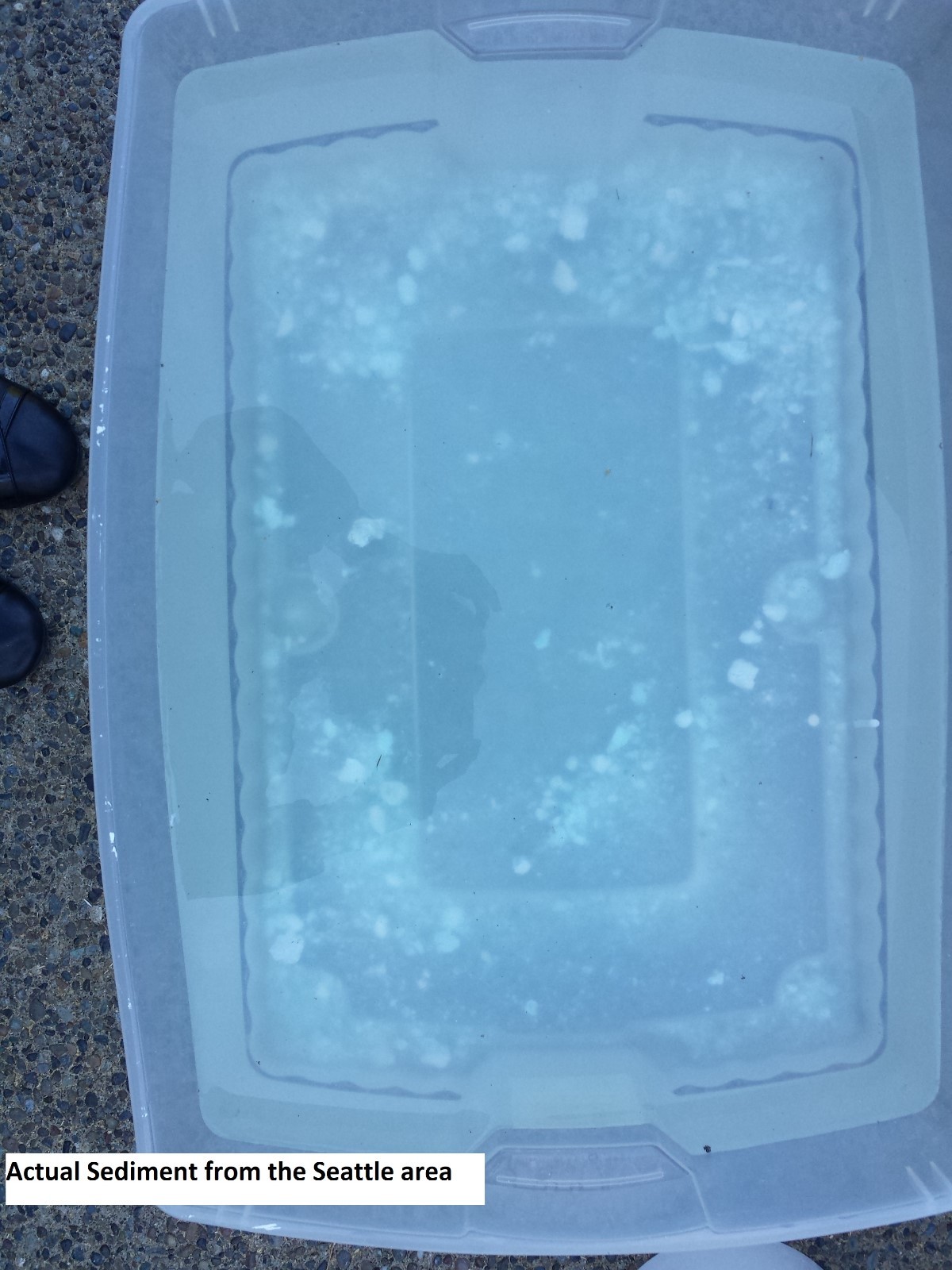 Brass Water Heater Drain Valve-Gas and Electric Water Heaters