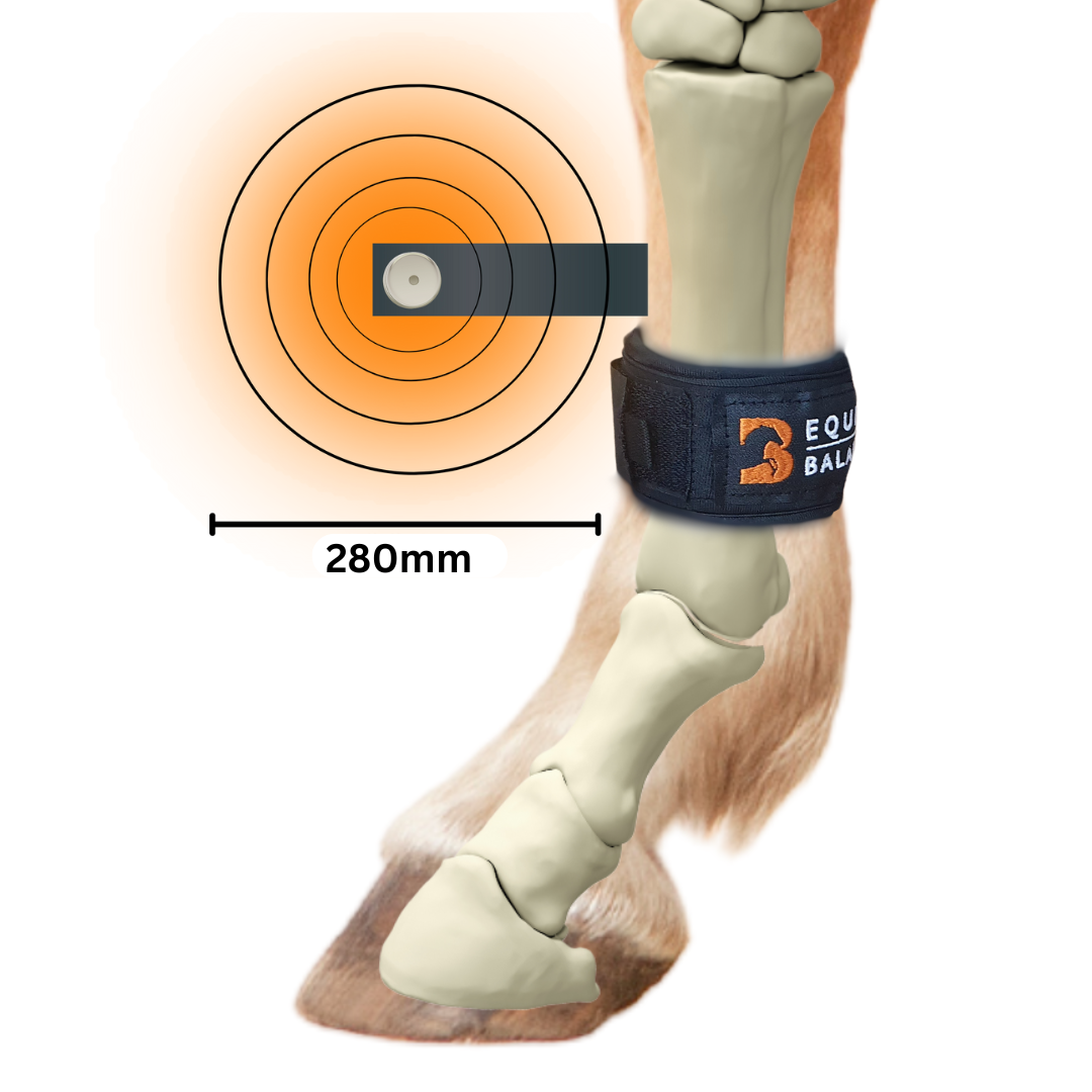 Magnetic Therapy Pastern Wraps Leg Bands for Horses and Ponies