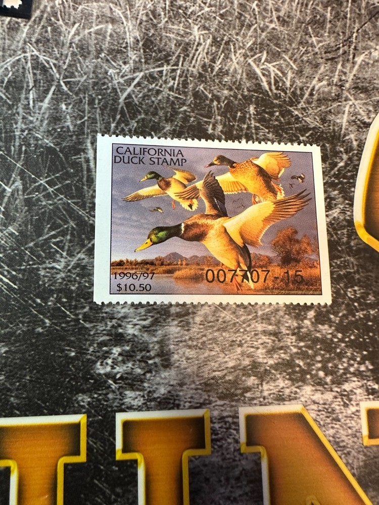 1996 California State Duck Stamp,