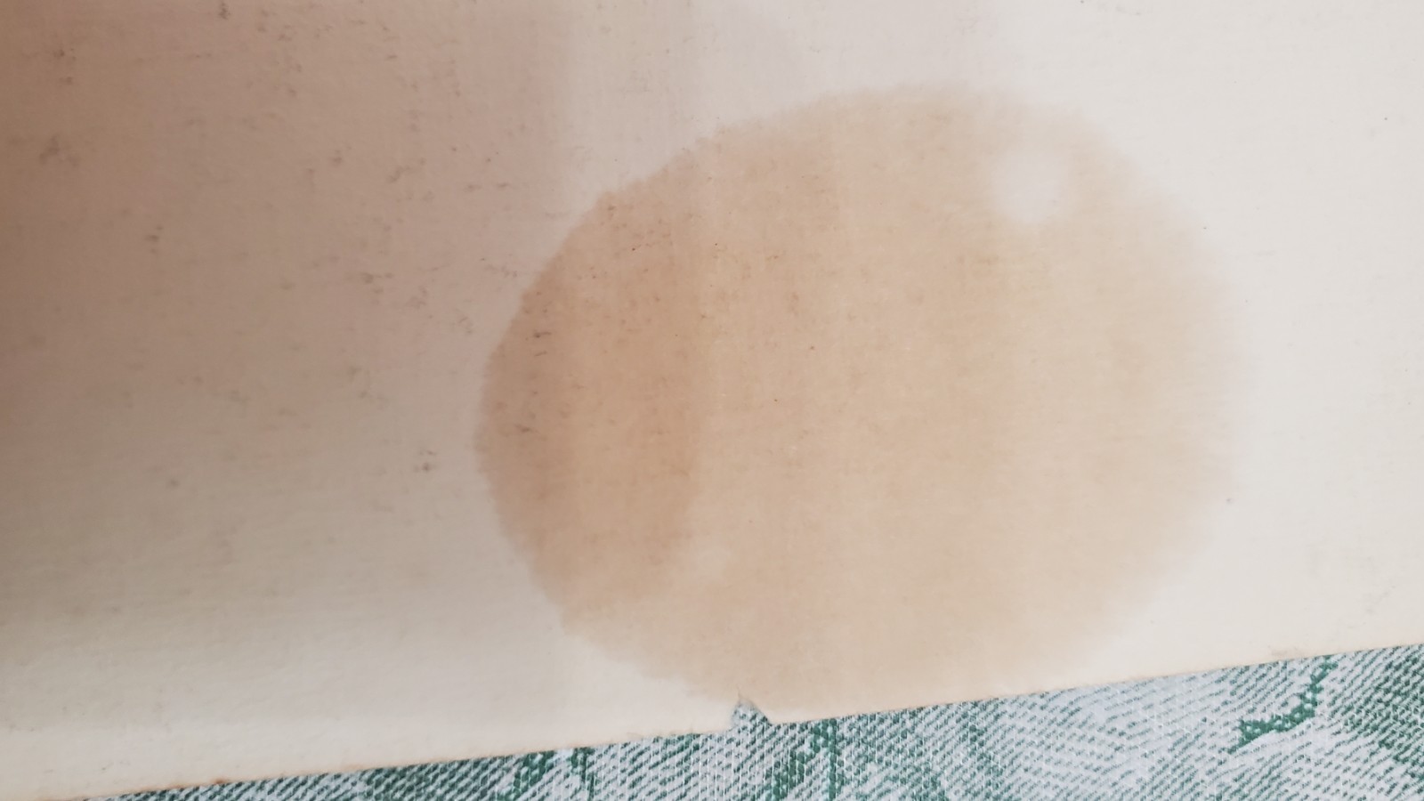 VTG Charles Wilbert White Lithograph Ye Shall Inherit The Earth " 1953 Signed