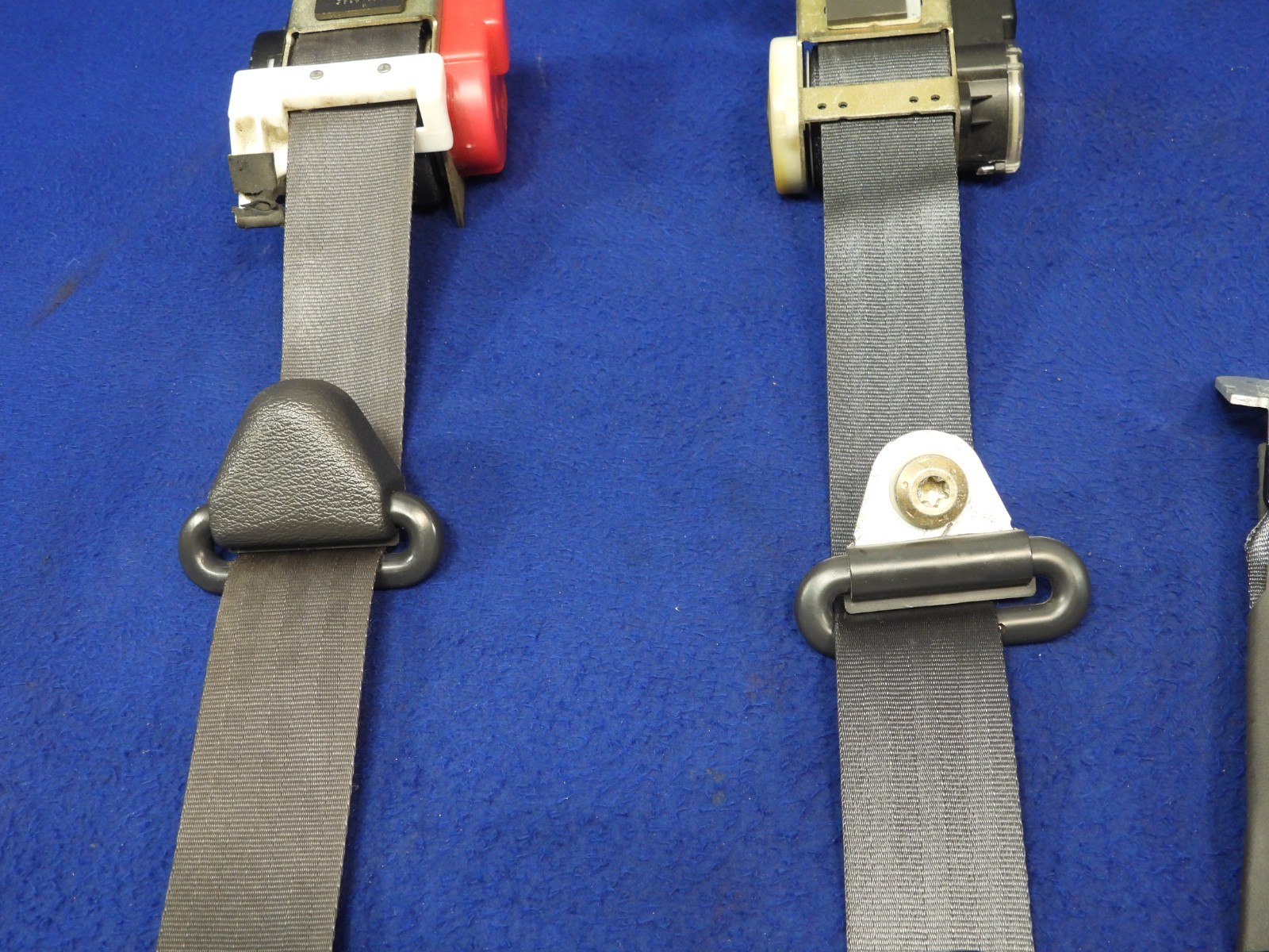 01 2001 Ford Mustang DK Charcoal Coupe Seatbelt Seatbelts OEM B64