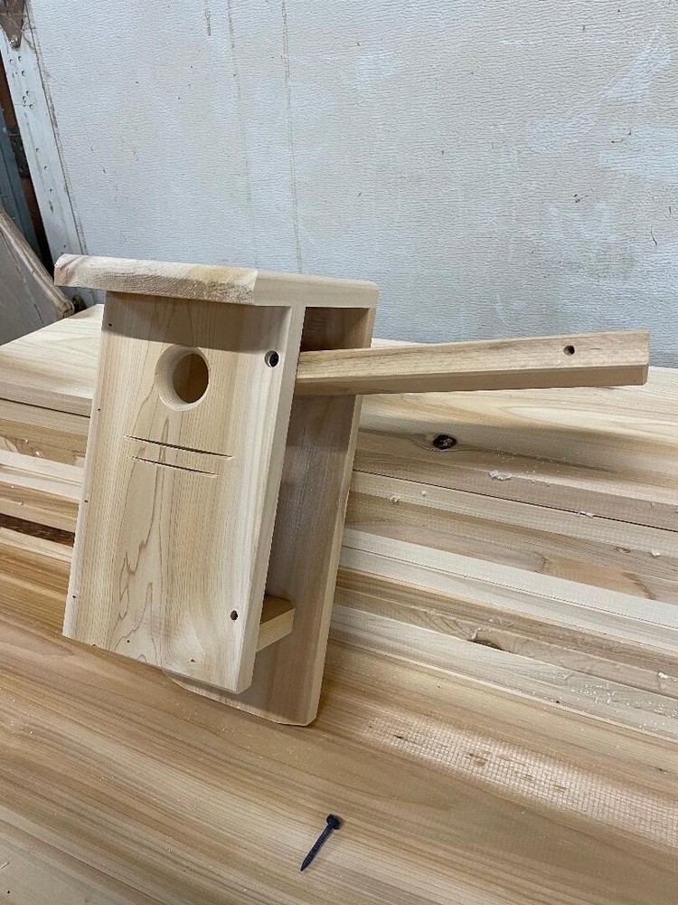 Downy woodpecker nest box