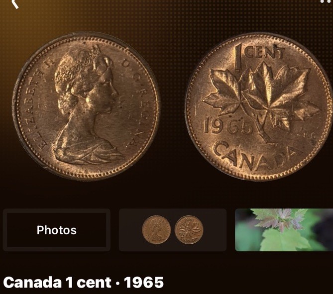 1965 Canada 1 Cent: CIRCULATED
