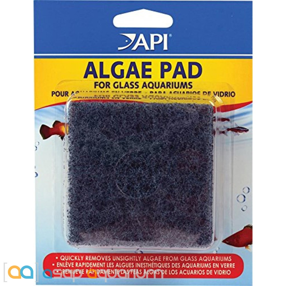 API Algae Pad For Glass Aquariums Algae Scrubbing Pad