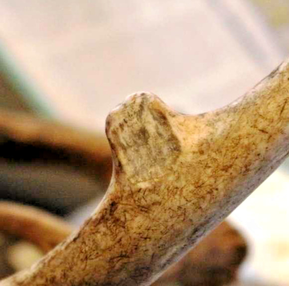 CRAFTING Epoxy Putty A&B - ALL GAME - Sculpt Modeling Compound Self-Hardening