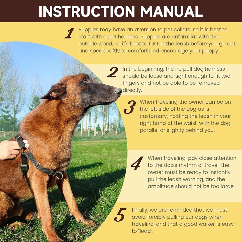 No Pull Dog Harness with Dog Leash, Easy to Control Walking Harness (Medium)