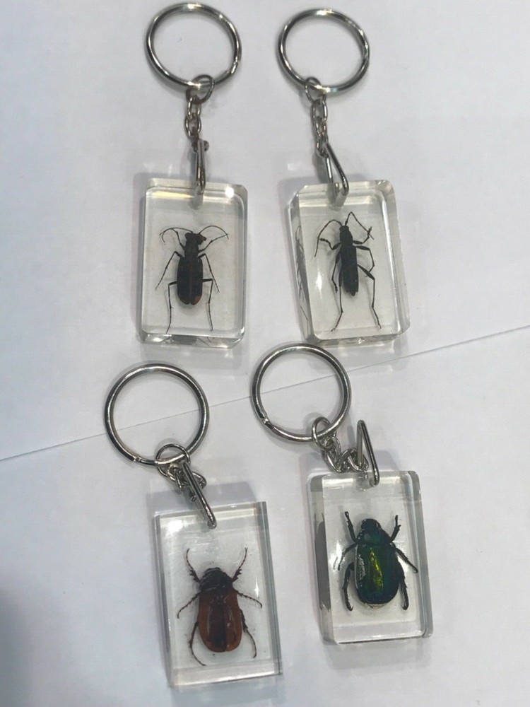 Insects Crystal Clear Keychain 12 Pcs