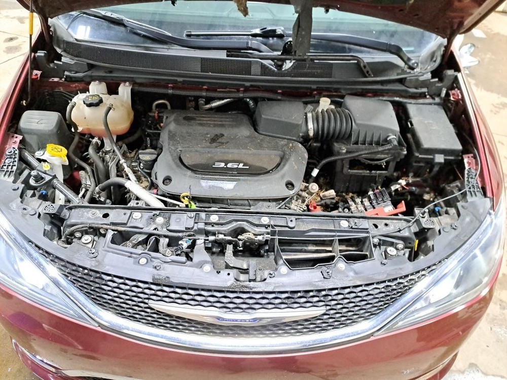 2019 Pacifica Jack Sku#4318558