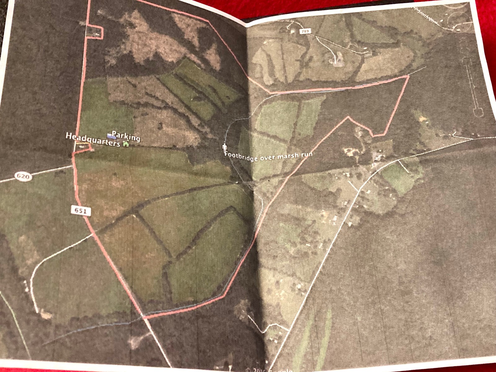 CIVIL WAR GLASS DISPLAY CASE WITH EXCAVATED BULLETS FROM OLD ESTATE