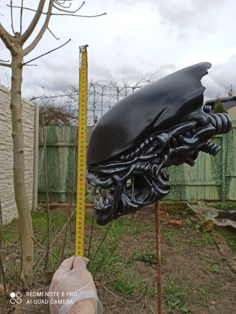 Alien / Xenomorph Romulus bust - head