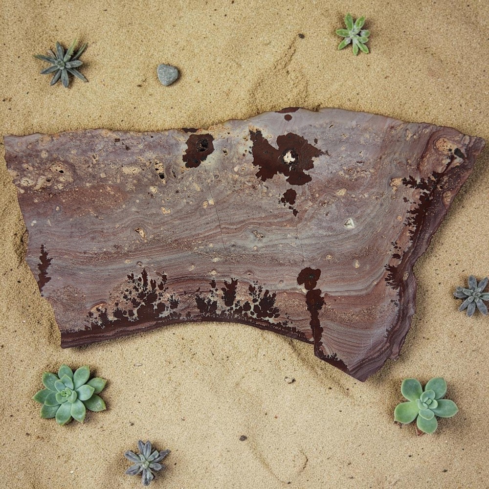 Apache Dendritic Rhyolite, Apache Sage, cabbing rough, #R-7031