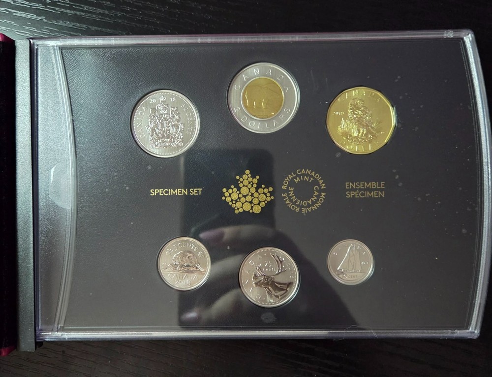 2018 Burrowing Owl Specimen Set