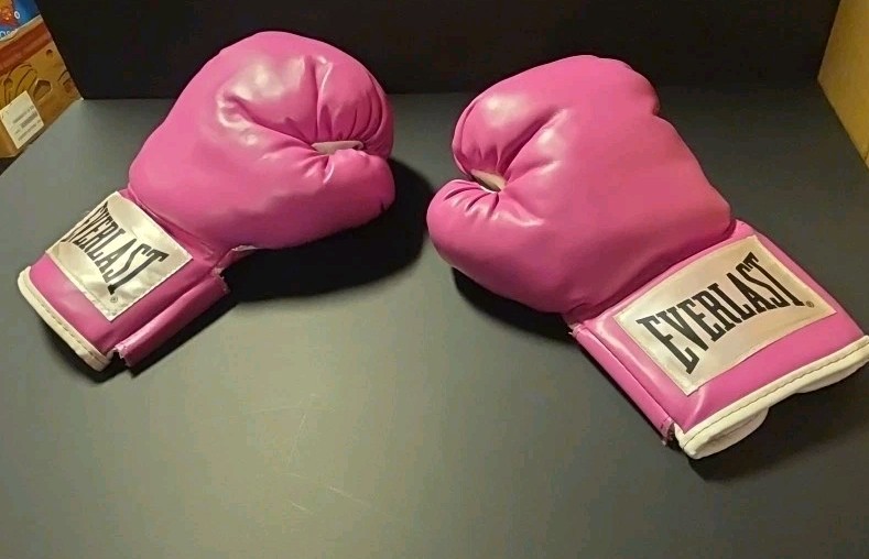Everlasr Pink 12 Ounce Training Boxing gloves