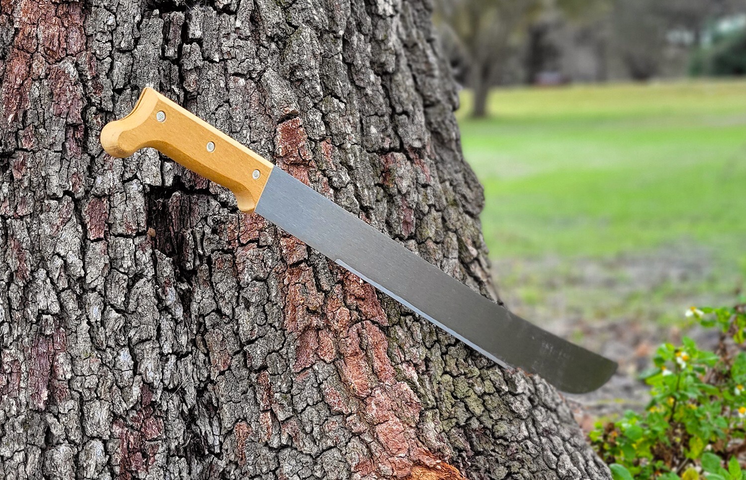 TRAMONTINA 28" Traditional WOOD HANDLE Carbon Steel Bush Machete MADE IN BRAZIL