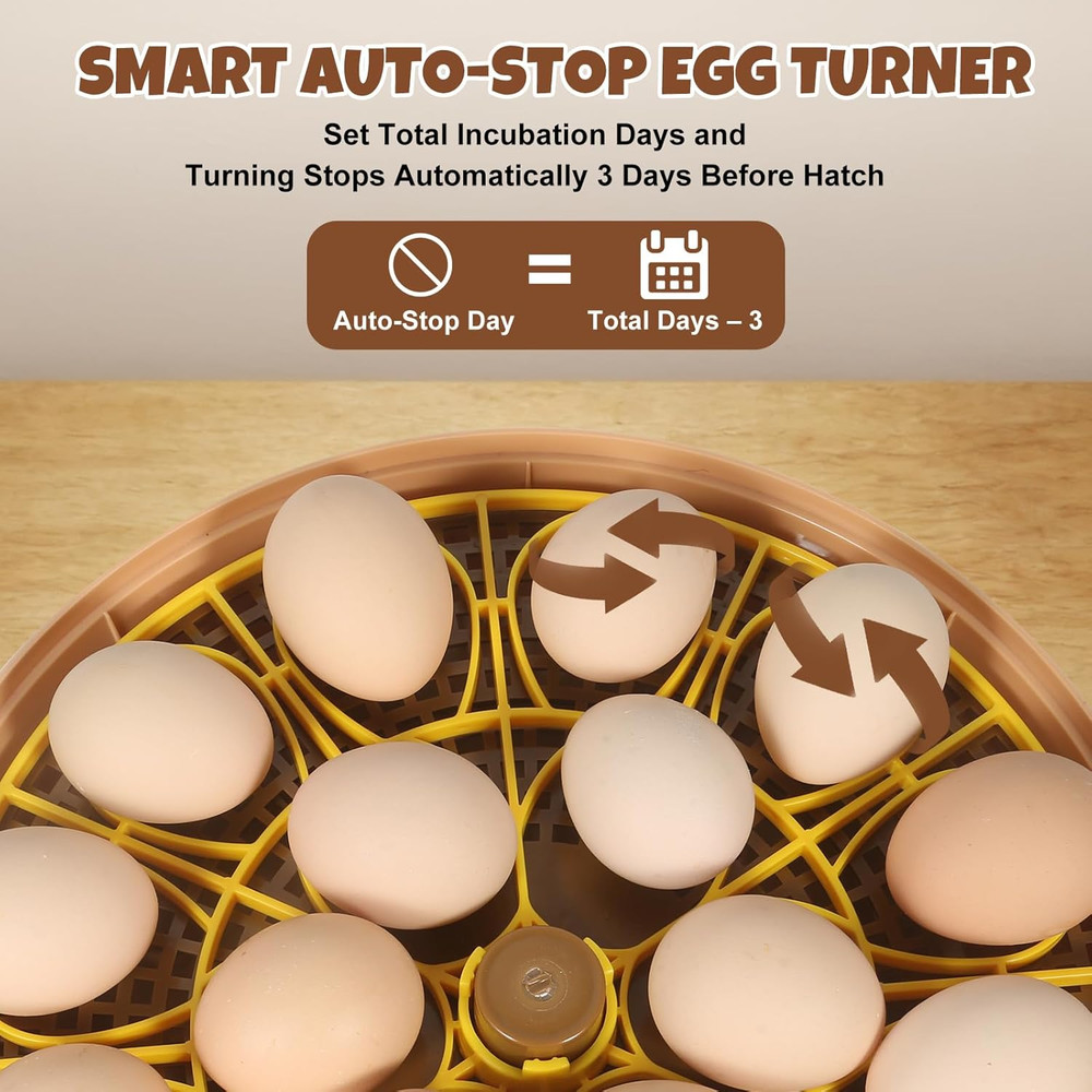 Smart 18-Egg Incubator for Hobbyists — Adjustable Auto Egg Turn with Auto Stop b