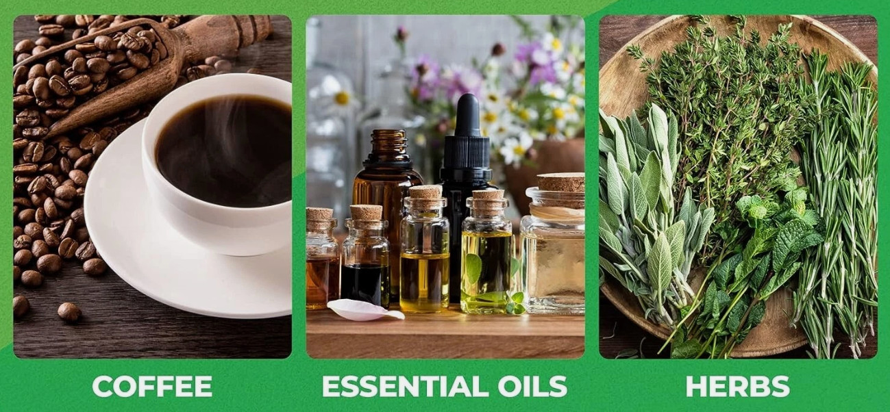 Liquidizer Herb2Vapor - Experience the Essence - Plant Honey Oil Blast Extractor