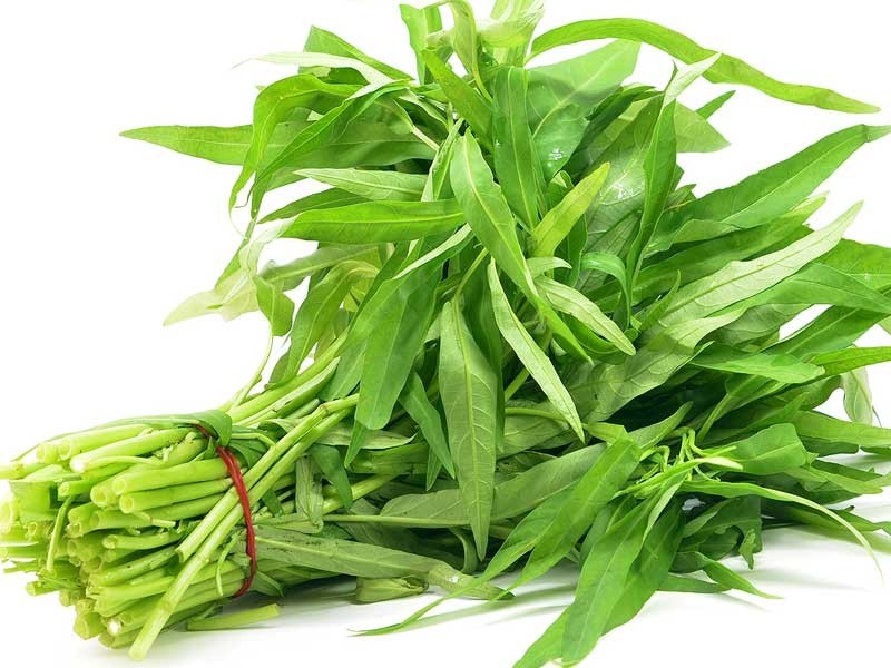 5gram/200pcs+ Water Spinach seeds, Ong Choi seeds, Kangkong Seeds,柳叶空心菜种子
