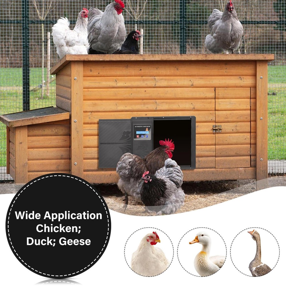 Automatic Chicken Coop Door Anti Pinch/Large LCD display/Timer