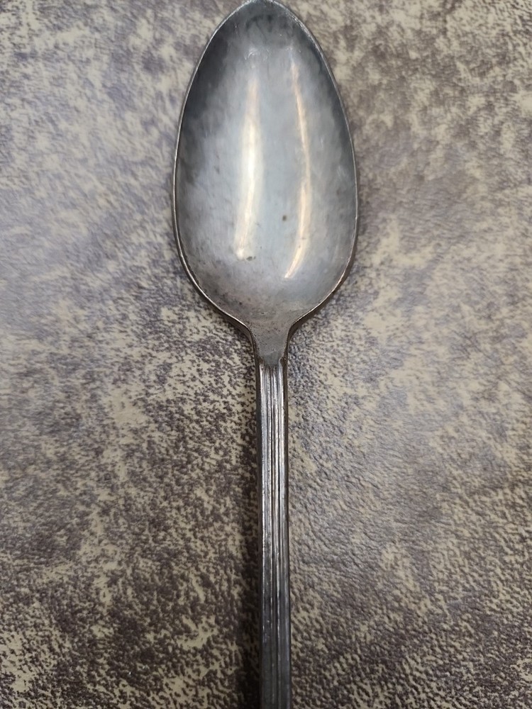 1940 International Silver Camelia Silverplate Floral Teaspoon 7.5"