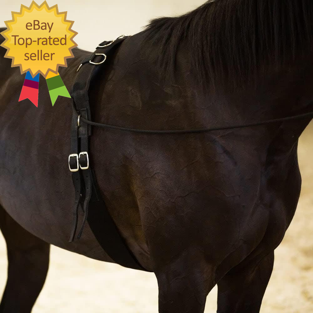 Lunging Surcingle for Horses Nylon Roller for Training