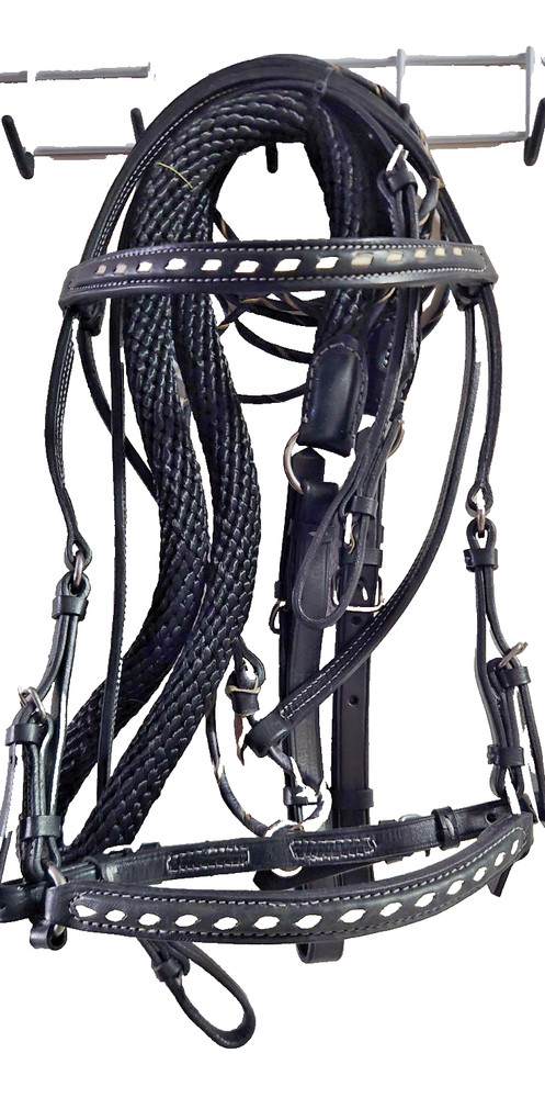 Bridle set Paso Fino