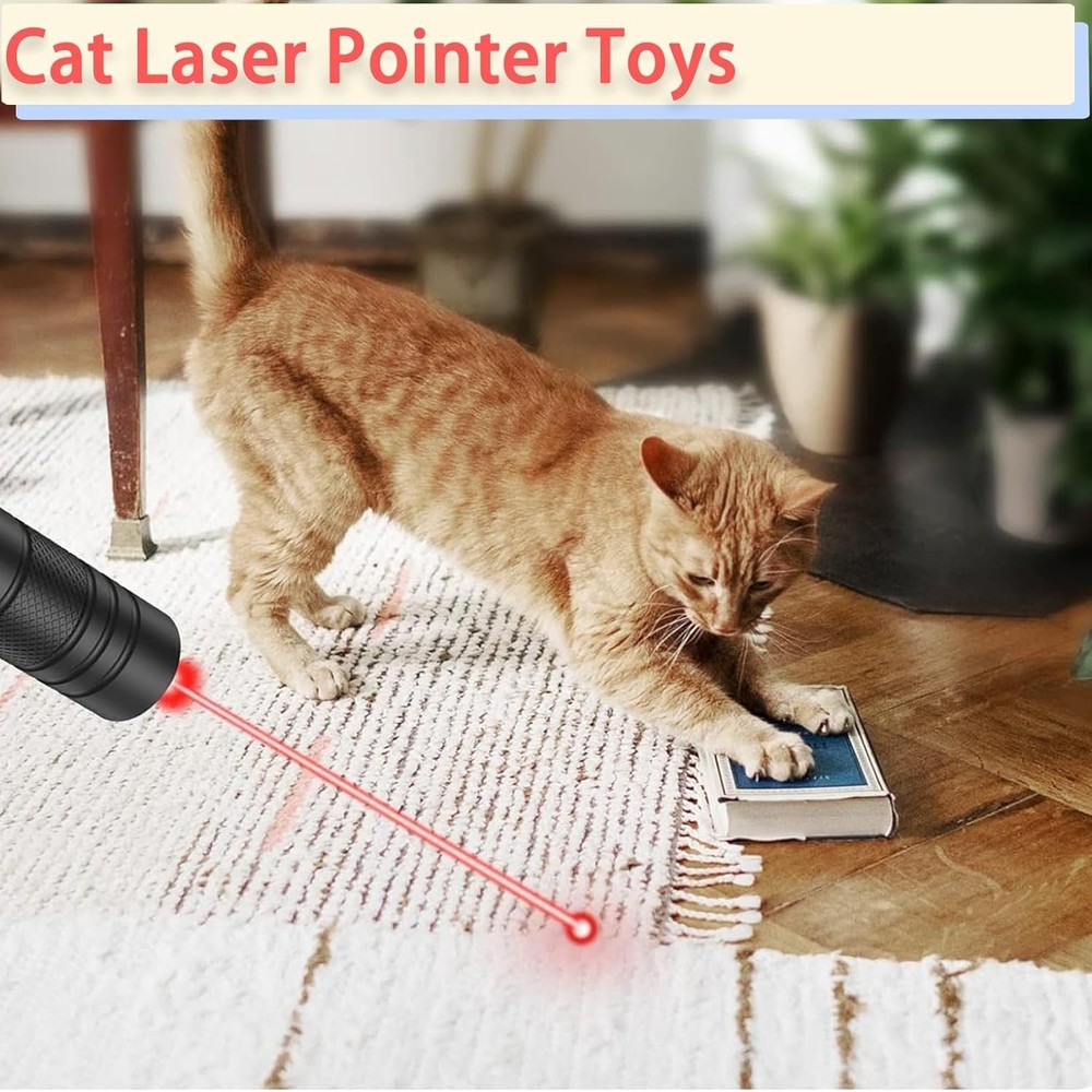 MEUSNO Lazer Pointer, Red Laser Pointer High Power Cat Laser Pointer Toy Red Hig