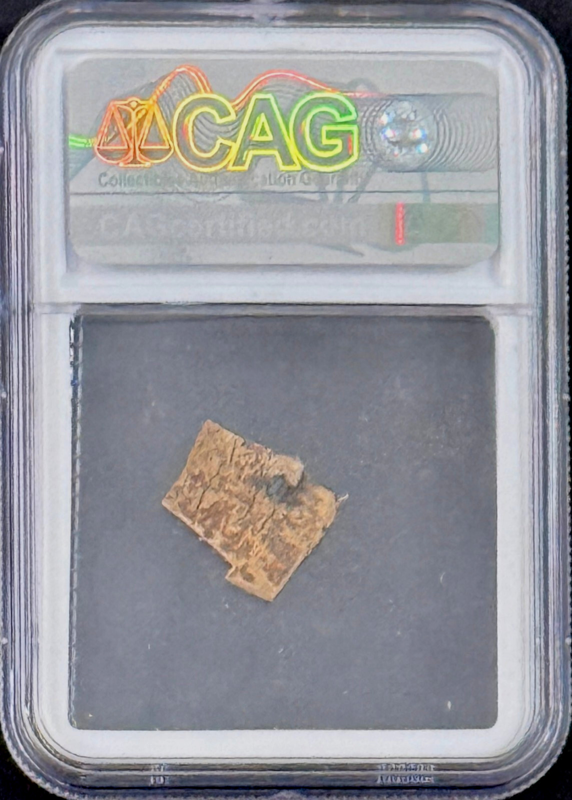 Napoleon Bonaparte Swatch From Trousers Worn During Siege of Moscow CAG Authen