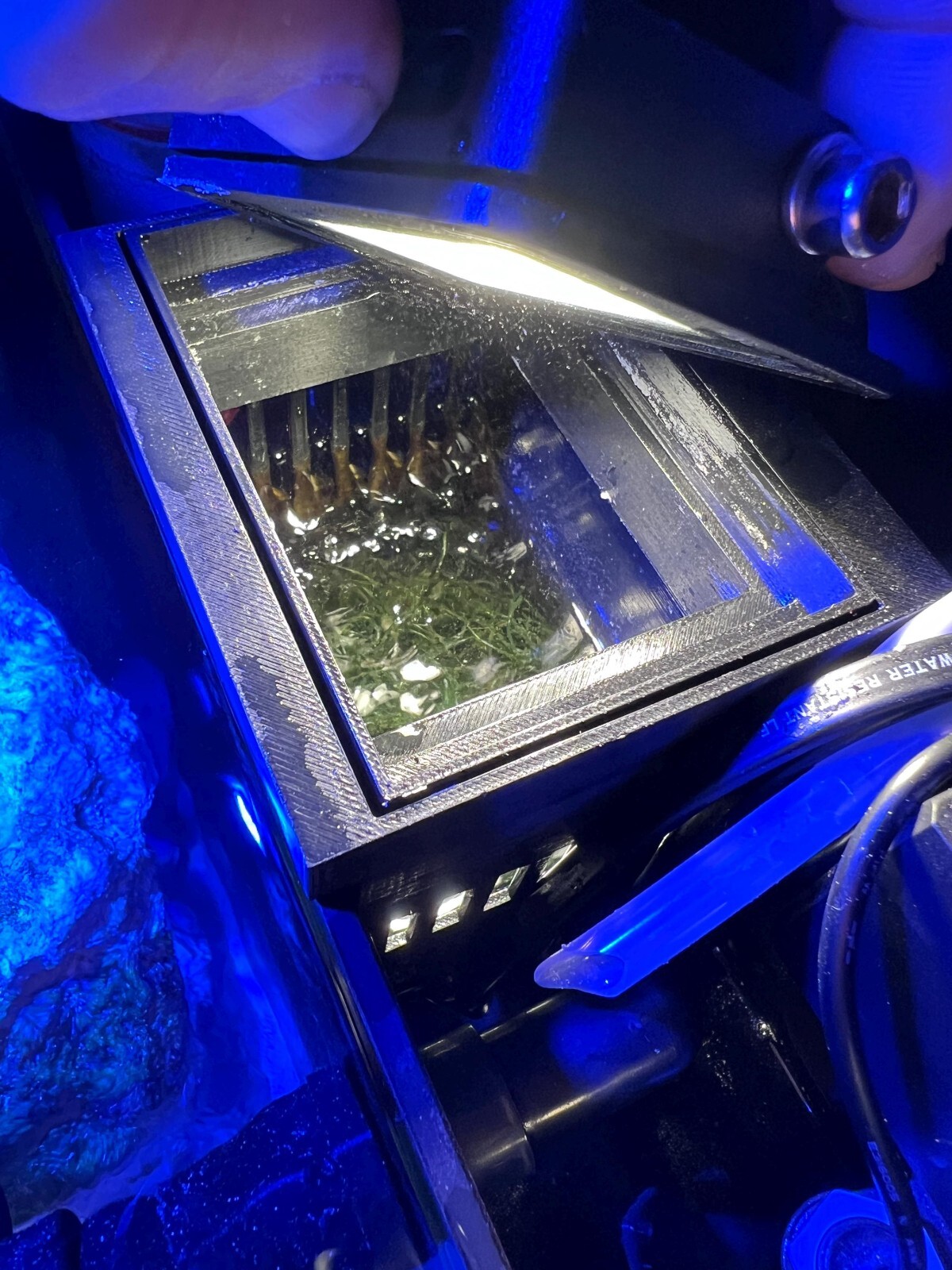 IM Innovative Marine Fusion 10 or 15 Chaeto Refugium