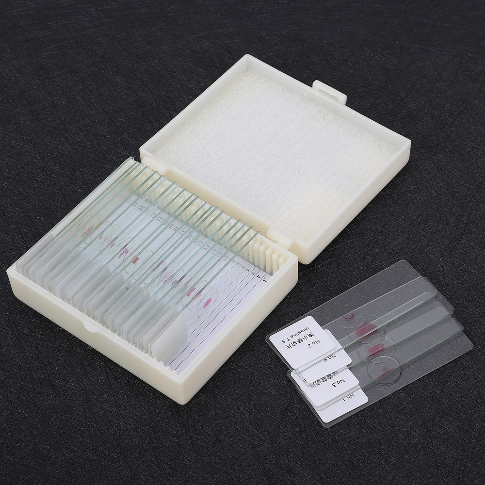 DW-25 25Pcs Animal Slide Set For Microscope Study Science Education