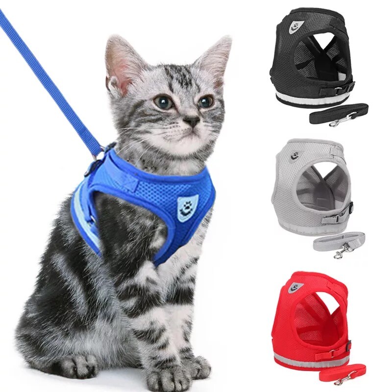 Mesh Padded Soft Puppy Pet Dog Harness Breathable Comfortable Many Colors S M L