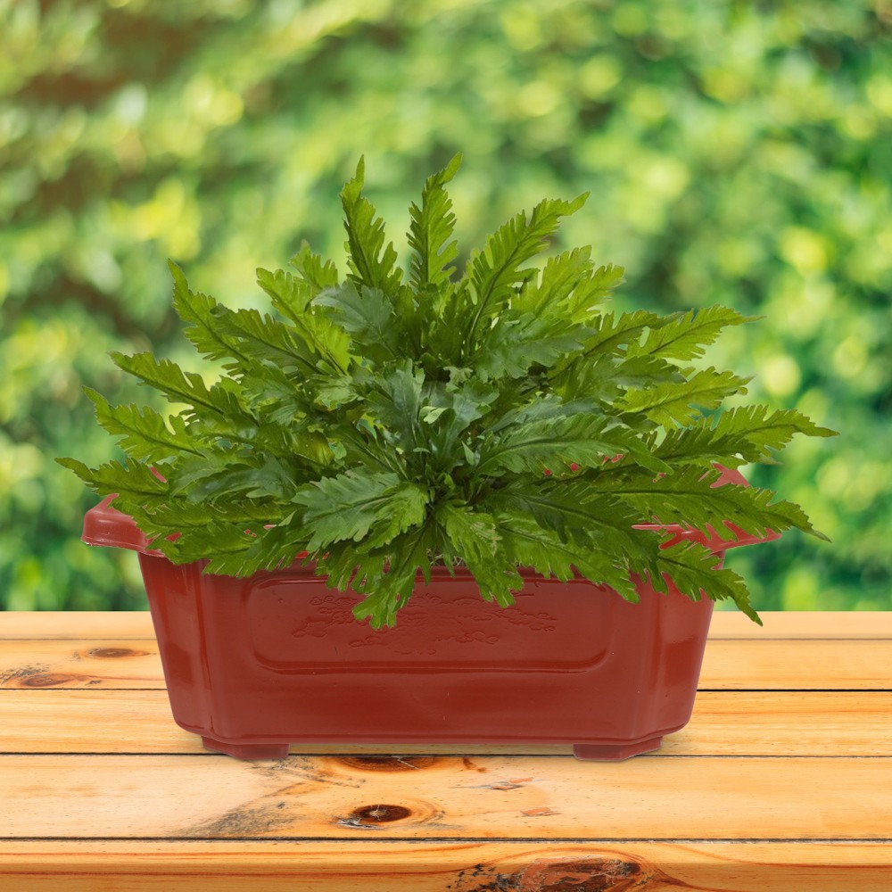 10 Pcs Ceramic Pot Bonsai Office Plastic Training Pots Large Planter Patio