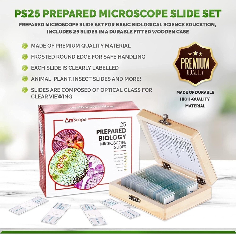 AmScope 25 Glass Prepared Microscope Slides with Wooden Box