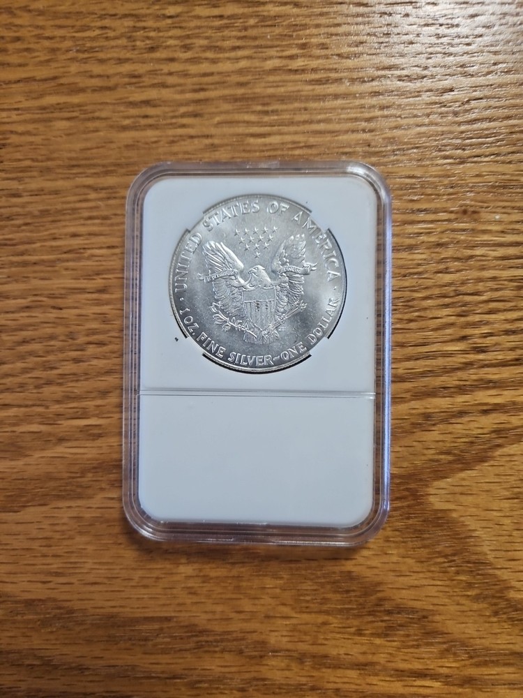 2013 SILV*ER AMERICAN EAGLES 1 OZ BULLION COIN