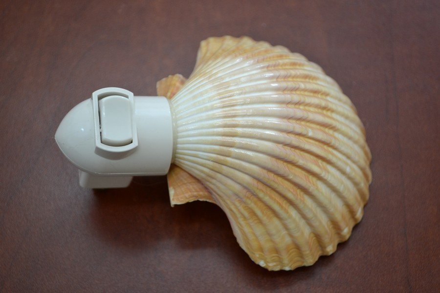 YELLOW MEXICAN CUP SEA SHELL NIGHT LIGHT BATHROOM KITCHEN #7187