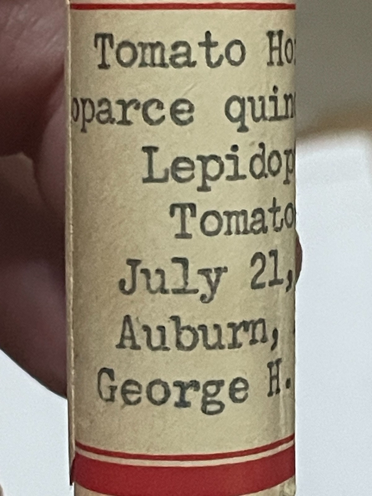 Entomology Slides Microscope Biology Insects With Box 1950's