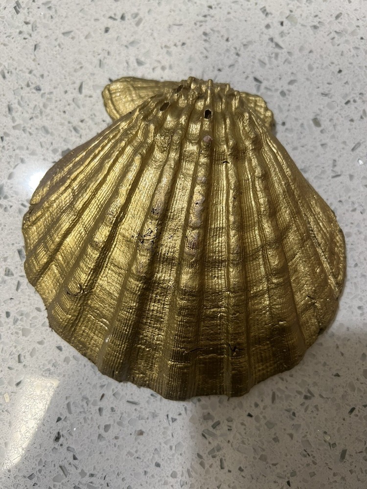 Scallop Shell Decoupage Handmade Trinket Ring Dish